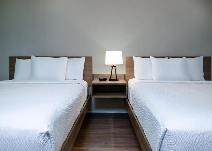 Echo Suties Extended By Wyndham Austin Hotel Round Rock