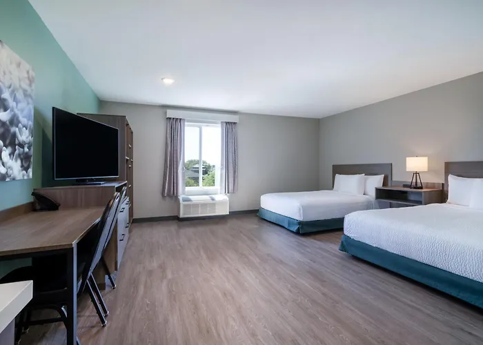 Echo Suties Extended By Wyndham Austin Hotel Round Rock